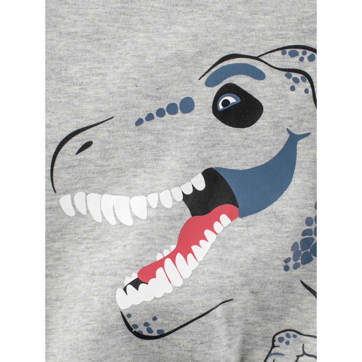 Kids Cartoon Dinosaur Sweatshirt Boys Girls Fleece Lined Casual Long Sleeves Pullover Hoodie Tops Children Autumn Fall Clothes