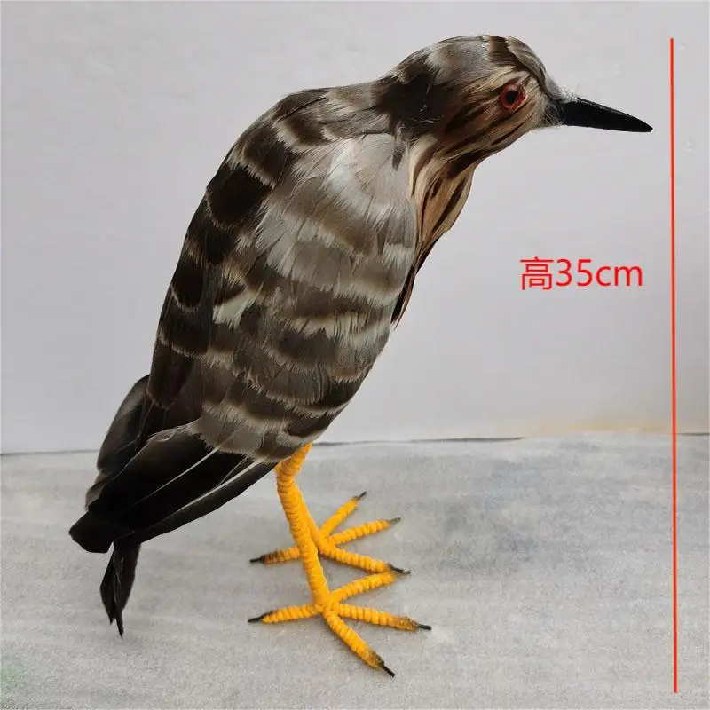 new real life night heron bird model foam&feather night heron garden decoration gift about 35cm xf2851