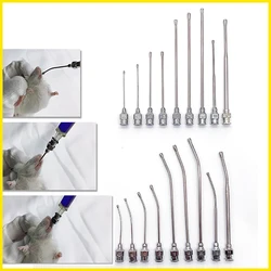 5PCS Rat Mice Intragastric Needle Stainless Steel Feeding Medicine Dripping Parrot Pet Puppy Animal Milking Lab Tools Supplies