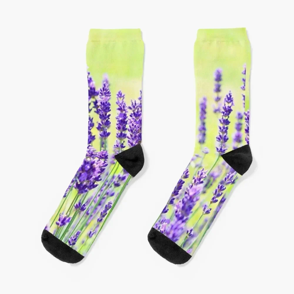 Wild Lavender Flowers. Dark Purple Blooming Lavender Flowers Socks ankle Stockings Non-slip happy Socks Woman Men's