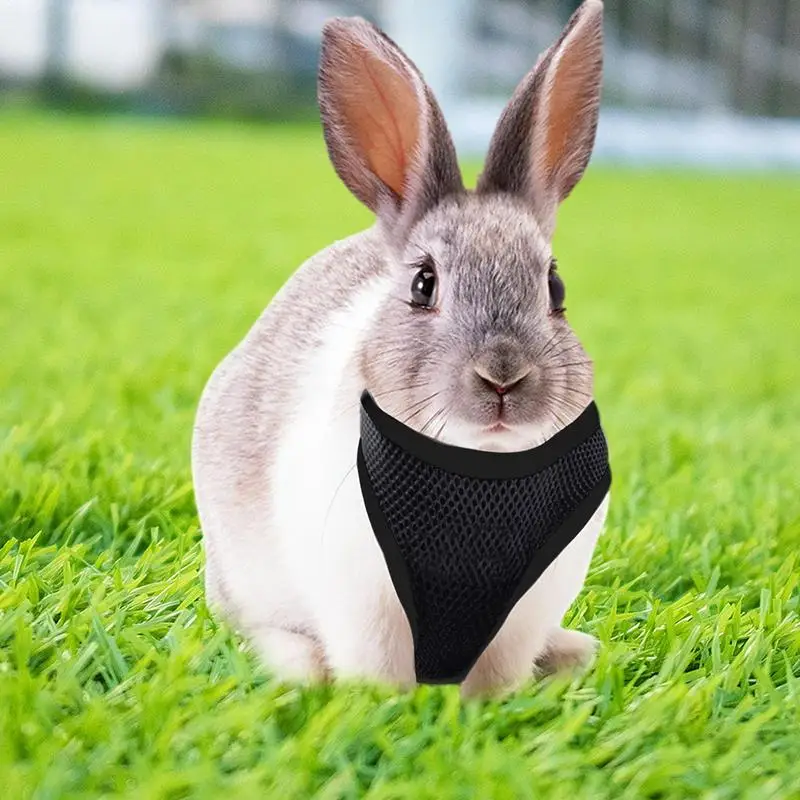 Small Cat Harness Breathable Mesh Soft Bunny Vest Small Pet Outfits Escape Proof Small Animal Harness For Walking Outdoor Hiking view 4