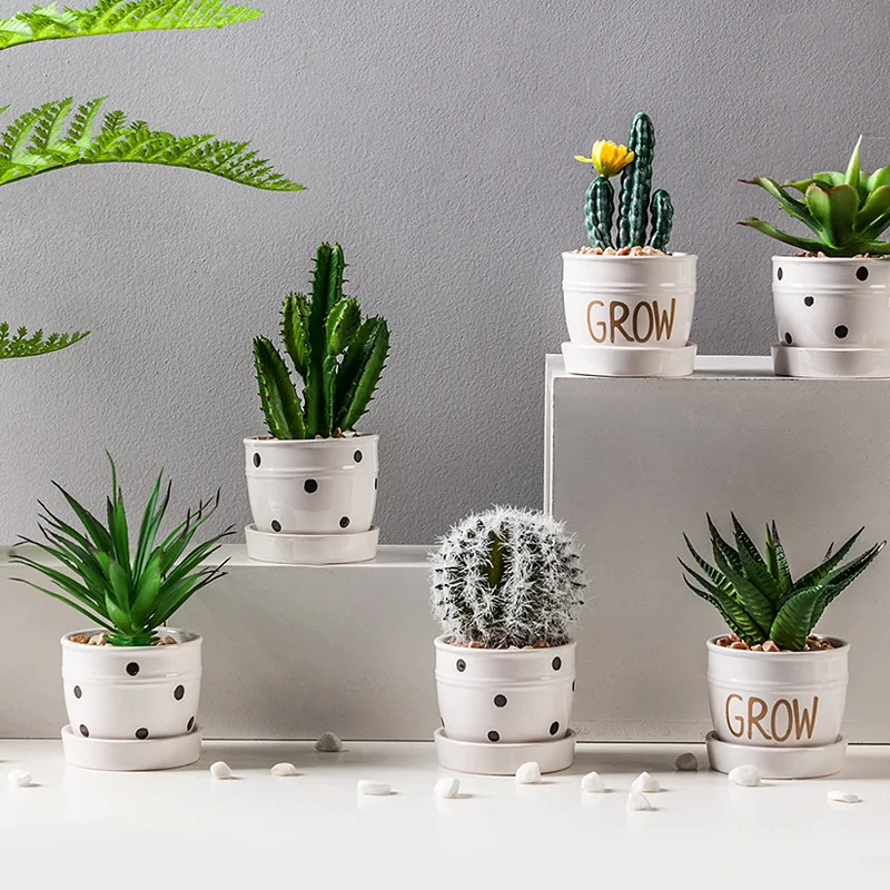 

Simple Style Green Plant Potted Resin Home Decoration Cactus Fleshy Potted Decor Handicraft Decoration Living Room Porch Ornamen