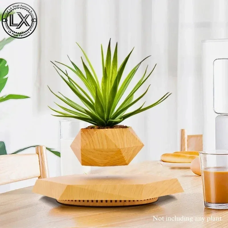 Floating Plant Succulents Potted Levitating Plant Pot Magnetic Levitation Flower Pot Rotating