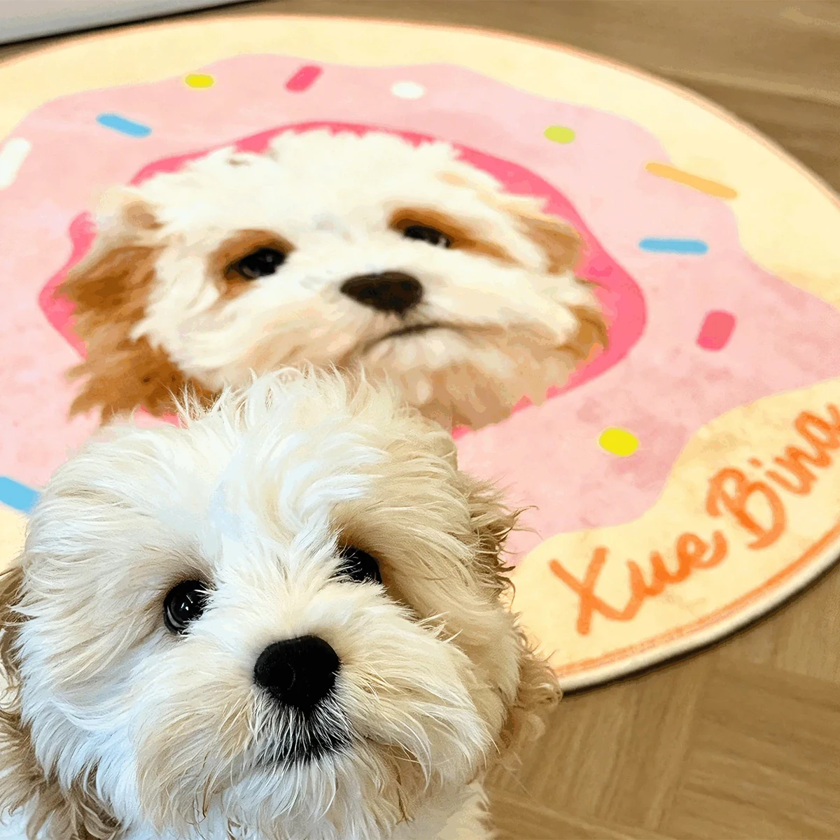 Custom Pet Portrait Floor Mats Living Room Round Rug Soft Plush Bedside Mat Printed Carpet Machine Washable Anti-slip Rugs 원형러그