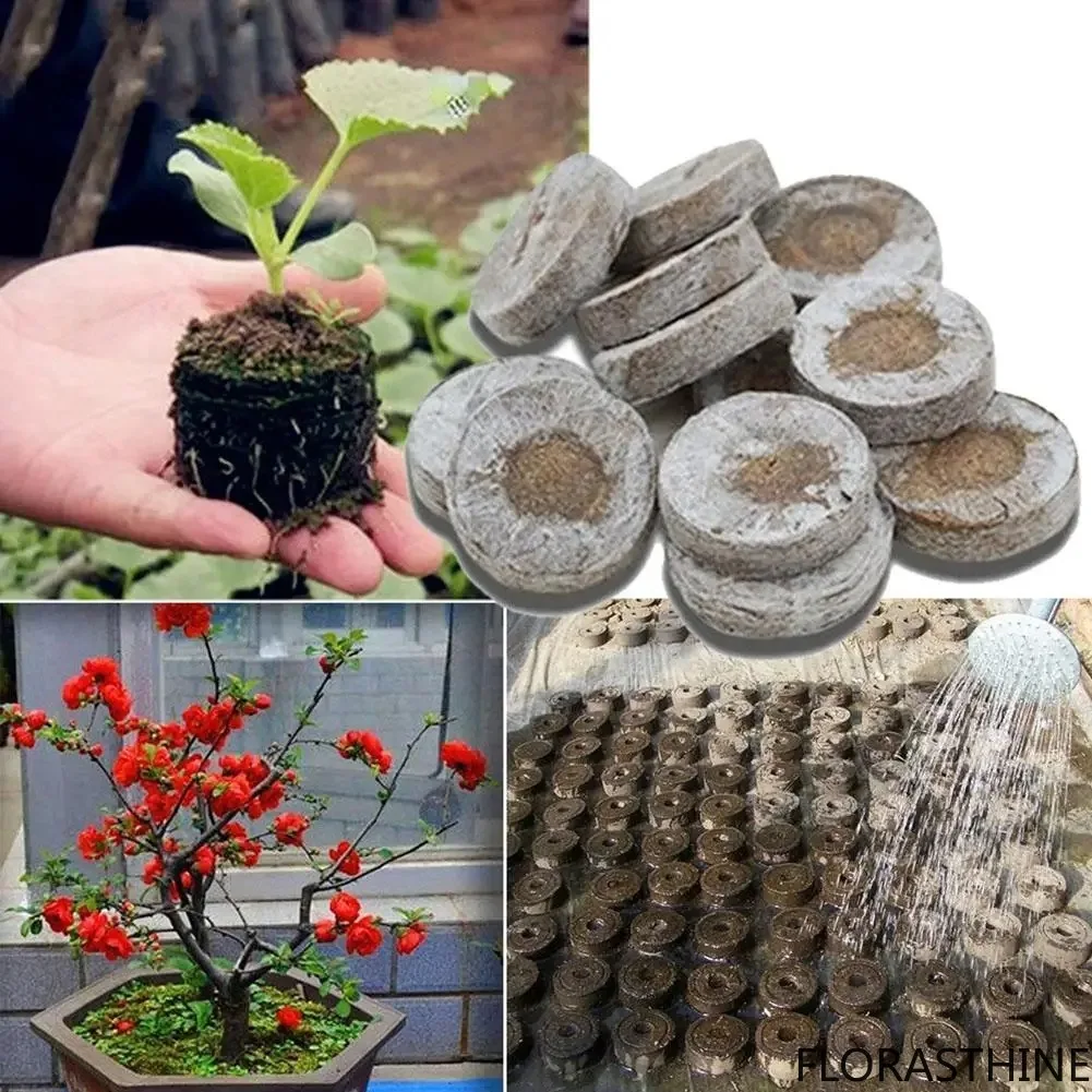 30mm Jiffy Peat Pellets Seed Starting Plugs Pallet Seedling Block Soil Poe Operations to Improve Efficiency Seedling Soil