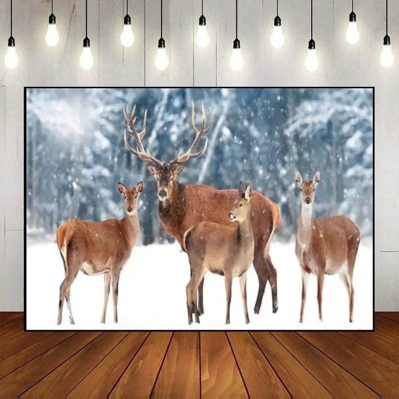 Merry Christmas Xmas Tree Photography Backdrops Fairy Tales Background Photo Lights Baby Shower Window Red Curtain Home Eve Snow