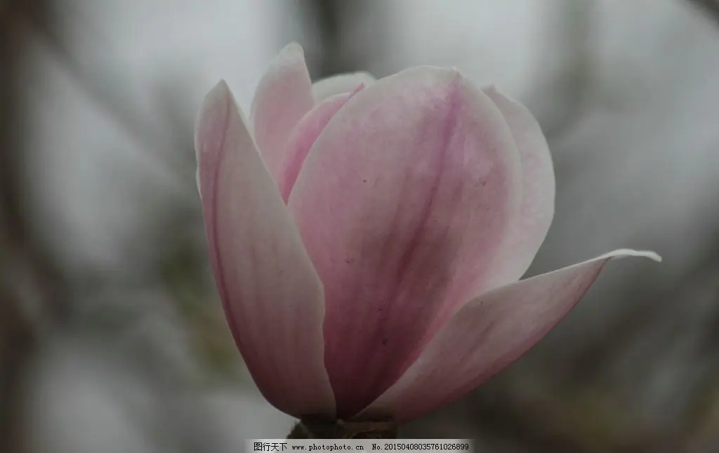 

Metal 2.2" Beadlock Wheel RAim Wheel Hub for 1/10 RC Crawler Car Axial SCX10 Wraith RR10 RBX10 Trxs TRX4 D90