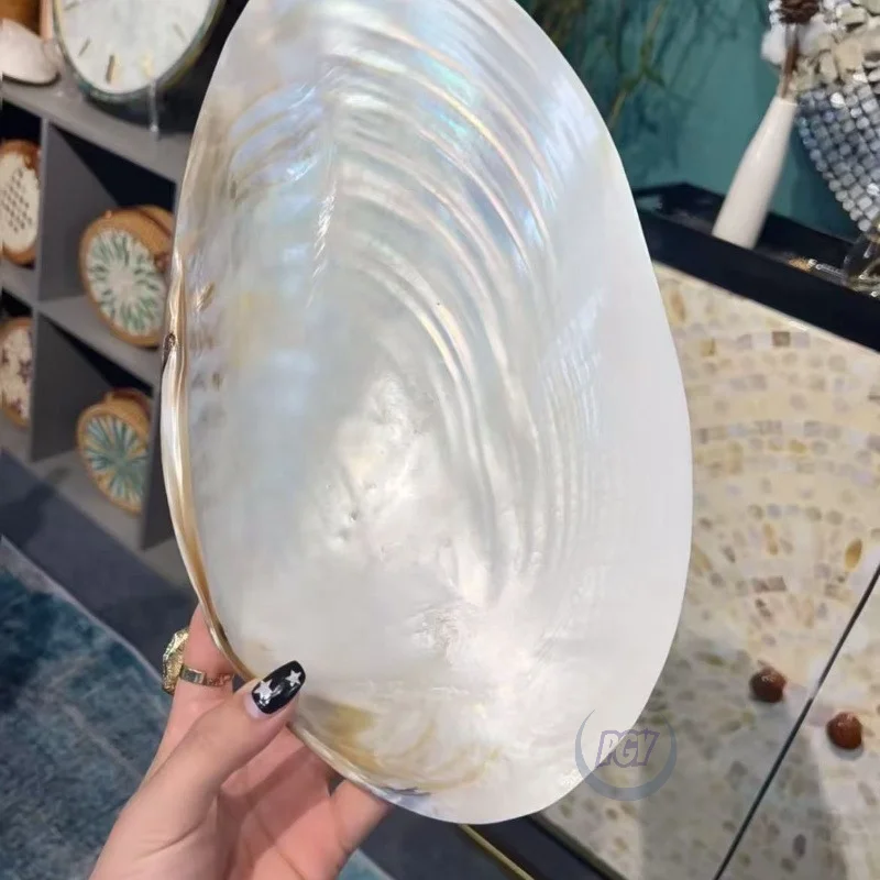 Image of 1/2 stücke Extra Große Perlglanz Shell Platte Ornament Dekorative Handwerk Schmuck Display Lagerung Tabletts Landschaftsbau Hause Tisch Dekor