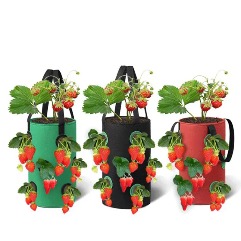 3 Gal 12 holes Strawberry grow pot bags Plants Flower Tomato Growing Garden wall Hanging Vegetable Root Planting Reusable Her F1