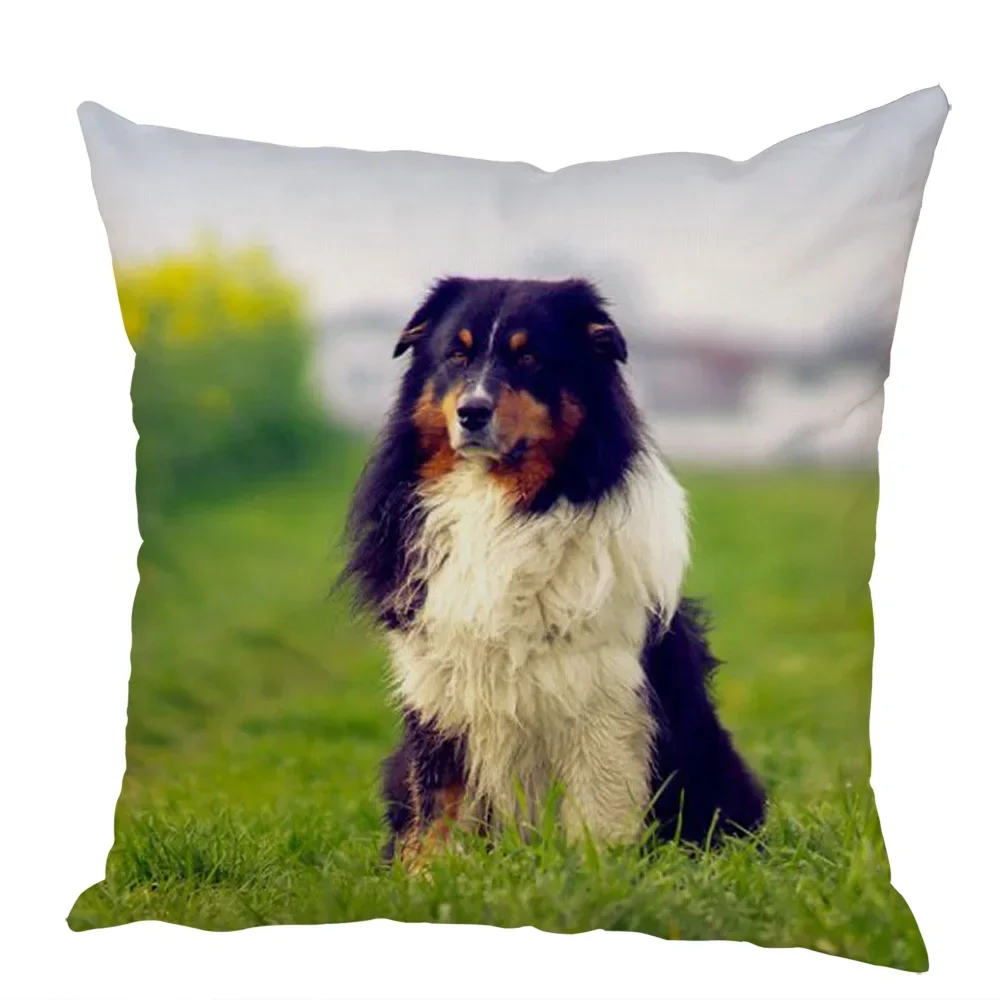 Cute Australian Shepherd Dog Pillow Case Peach Skin Decor Pet Animal Cushion Cover Thorw Pillowcase for Sofa Home Car 45x45cm