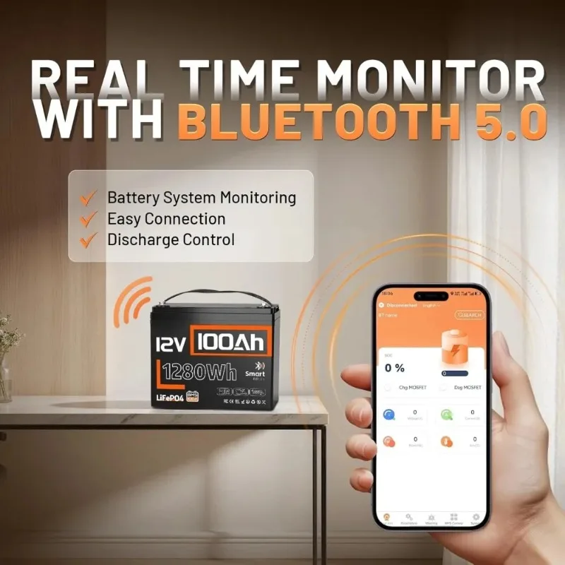 100Ah Group 24 LiFePO4 Lithium Battery Built In 100A BMS Bluetooth Monitor Over 15000 Deep Cycles Custom For RV Solar Off Grid