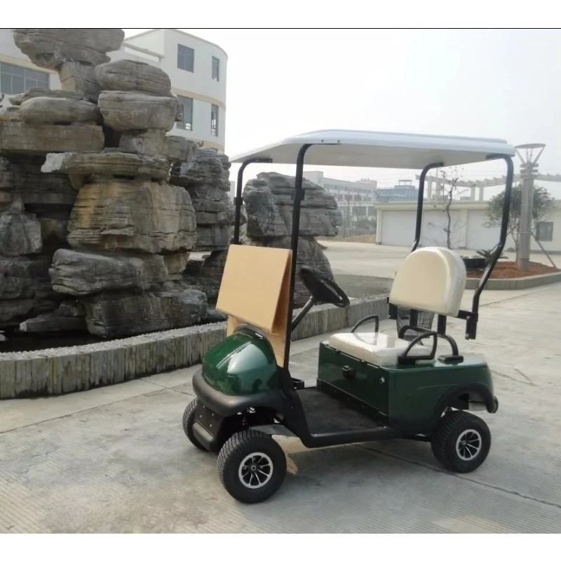 New Design Electric 1 Person Golf Cart with Rain Cover