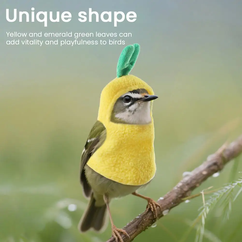 

Parrot Costume Easy to Wear Colorful Parrot Cosplay Hoodie for Grey Cockatiel Conure Comfortable Flight Suit with for Stylish