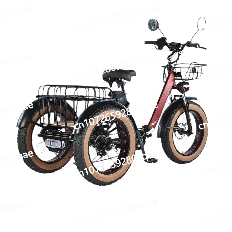 New snow adult pedal electric car fat tire three-wheeled battery car