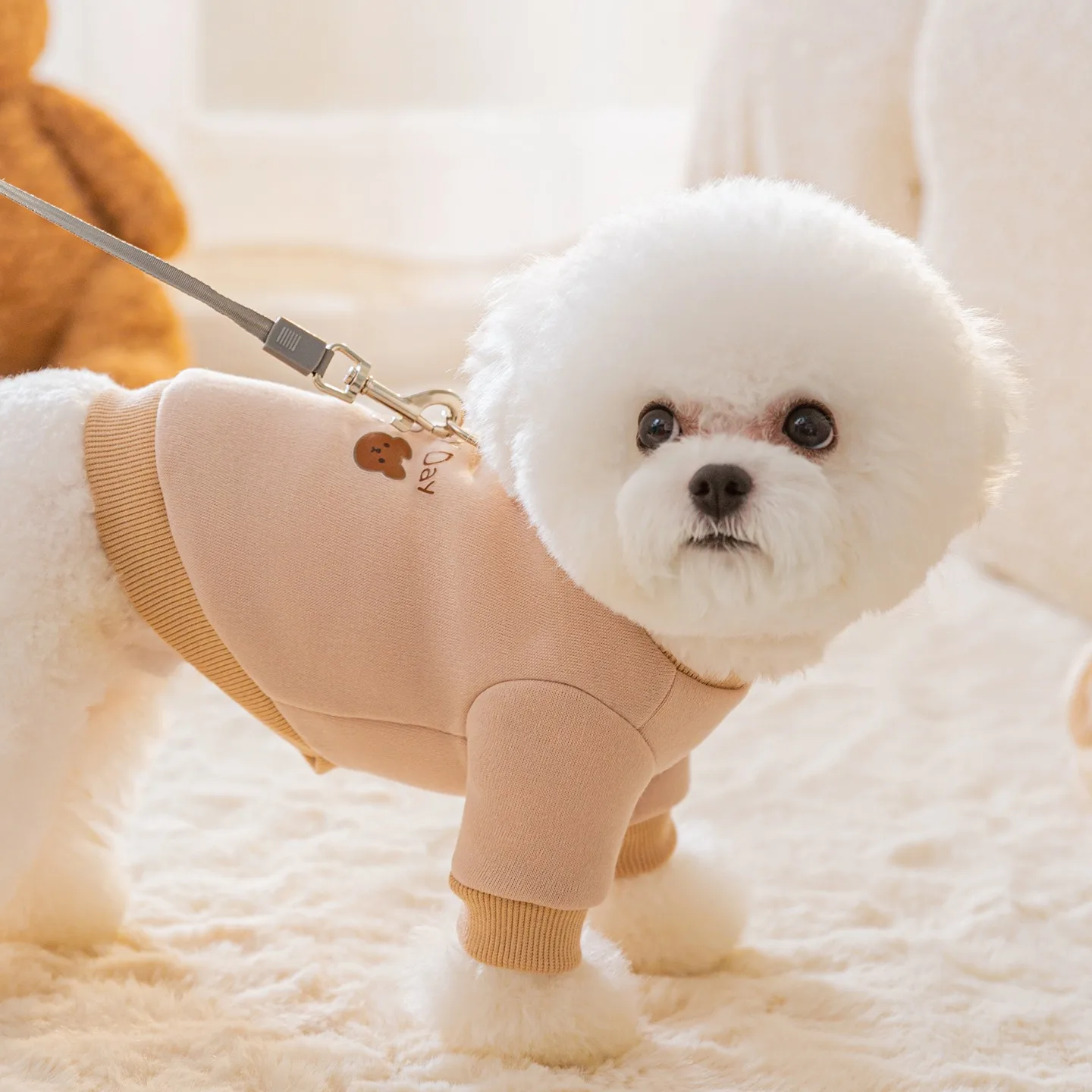

Cute Korean-style Dog Clothes Three Little Bears Printed Pet Sweatshirt Thin Fleece Bichon Frise Winter Two-legged Hoodi
