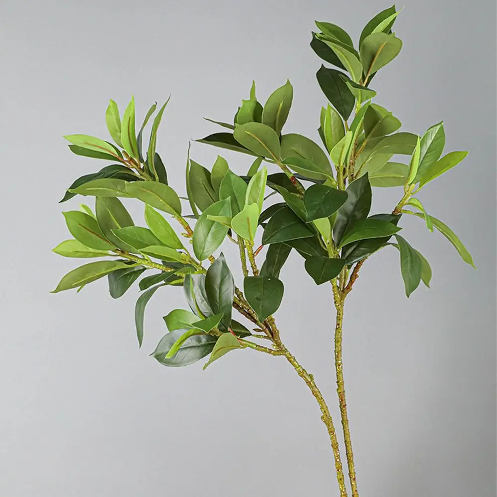 Ramas Grandes de Fagraea Artificiales, Ramas de Pachira Realistas al Tacto, Ramas de Ilex Chinensis Artificiales Elegantes Hechas a Mano