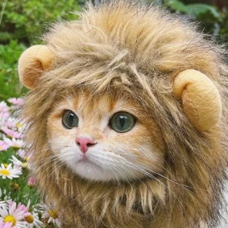 1pc Winter Warm Nette Lustige Haustiere Kappe Nette Katze Perücke Löwe Mähne Kostüm Cosplay Kätzchen Hund Hut mit Ohr, geeignet für Daliy Tragen, Party