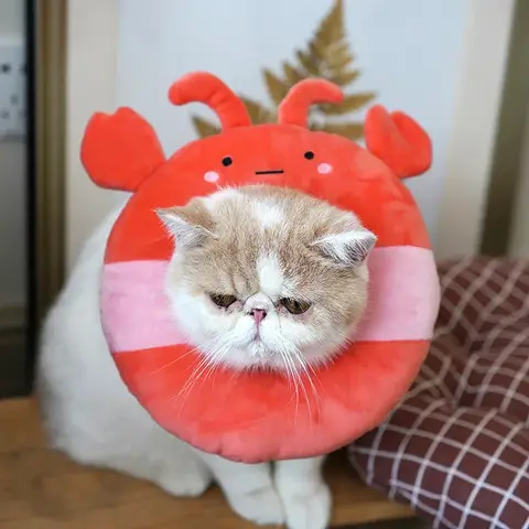 귀여운 애완 동물 고양이 목걸이 조정 가능한 전자 칼라 상처 치유 소프트 물린 방지 엘리자베스 서클 도넛 애완 동물 고양이 개 보호 목걸이