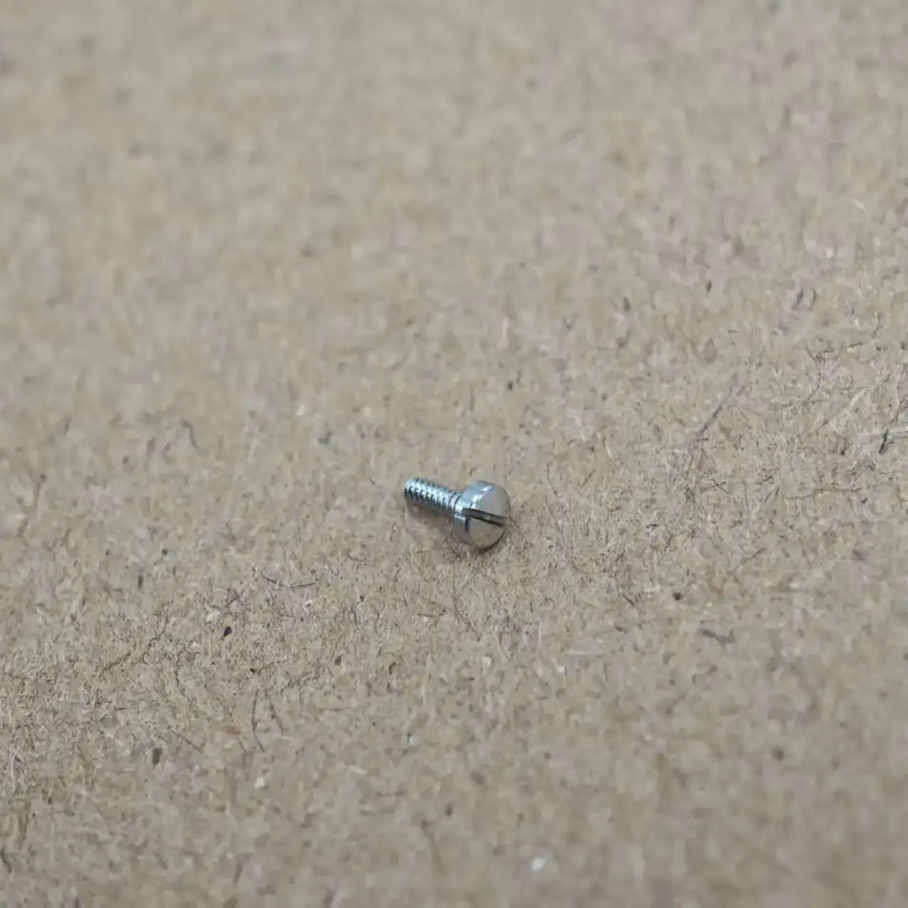 Eniton 時計ネジと時計ケース