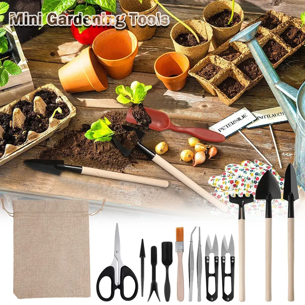 13PCS Succulent Plants Tool Set for Indoor Plant Home Garden Kit Black Potting Cactus Houseplant Cultivation Tool Gardenning Kit