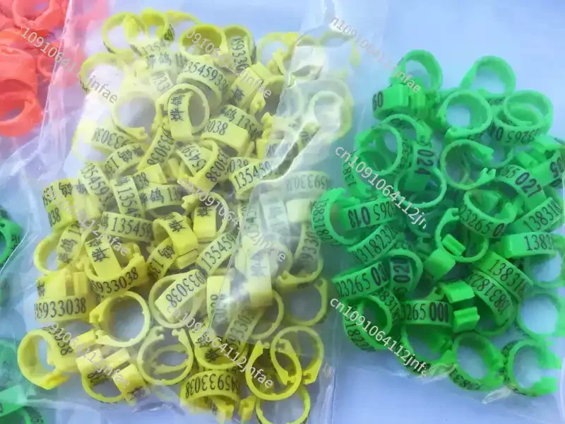 

Настройка кольца стопы Homing Pigeon, частное кольцо, настройка кольца стопы с открытой голубой