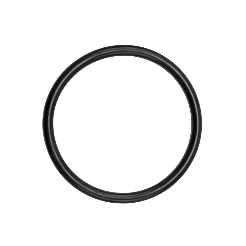 

Standard Keg Lid Seal, O-ring Seal,Original Seal For Homebrew Keg, 5 pcs/ Batch With Free Shipping.