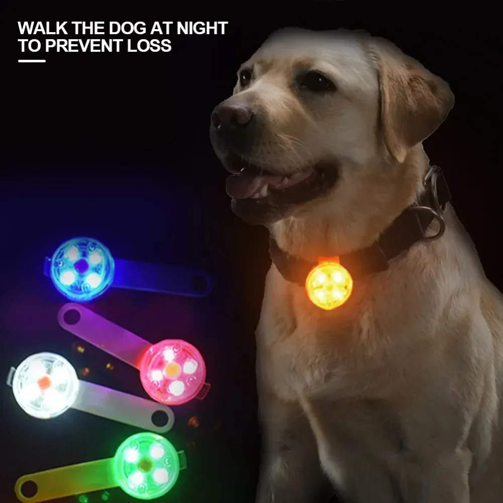 LED Dogs Collars Anti Loss Pendant Night Safety Waterproof Dog Cat Collar Glowing Pendant with Light USB Rechargeable