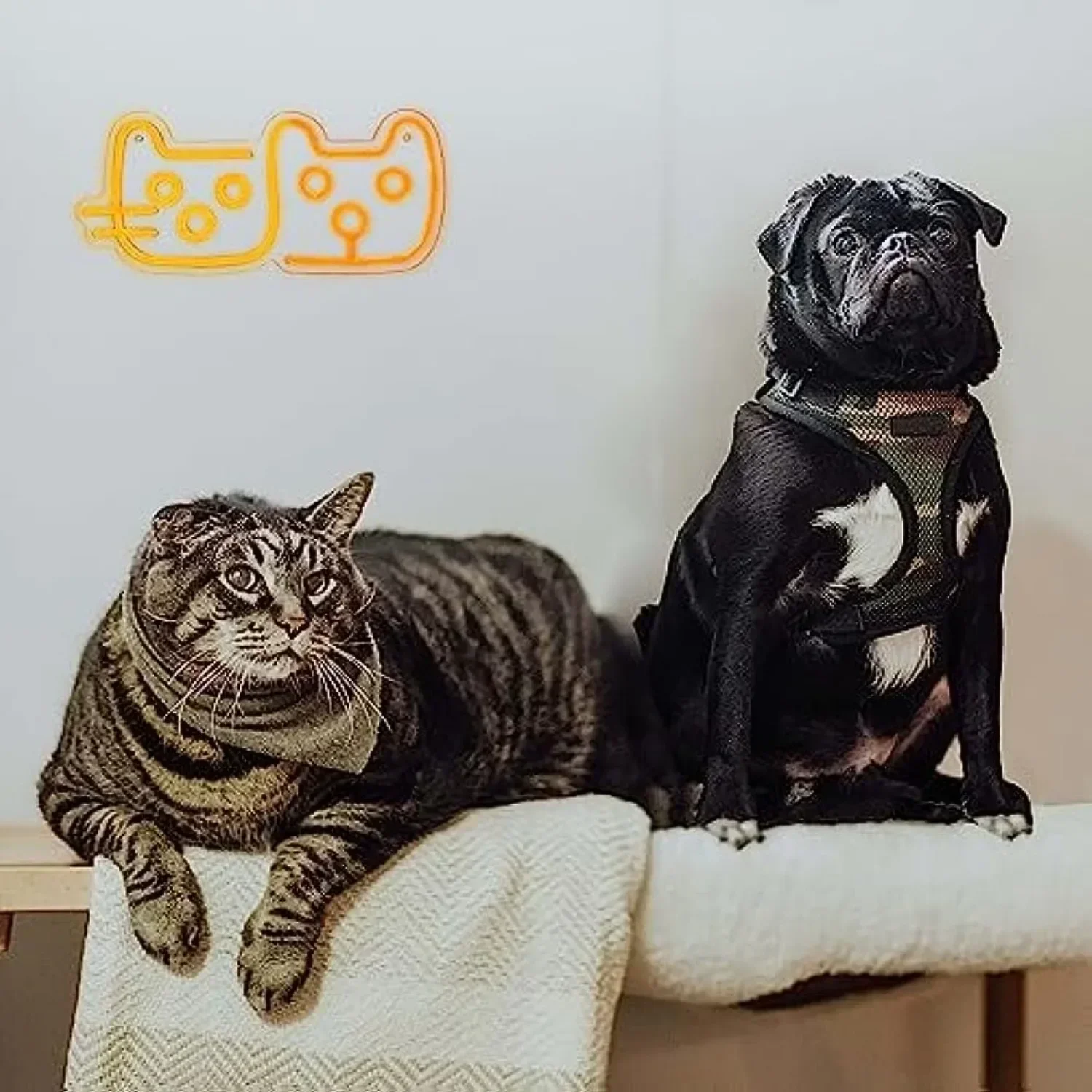 고양이와 개 네온 사인 LED 네온 조명 벽 장식 어린이 방 게임방 파티 크리스마스 장식 어린이 선물 USB 전원