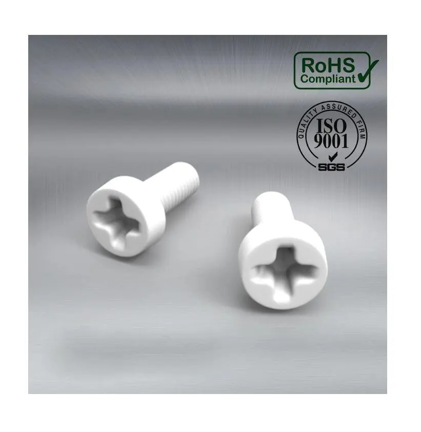 DIN 34813 Plastic Cross Recessed Cheese Head Screws