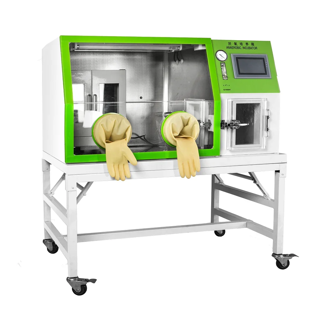 LAI-3T Laboratory Touch Screen Anaerobic Incubator Environmental Chamber for Bacteria Culture