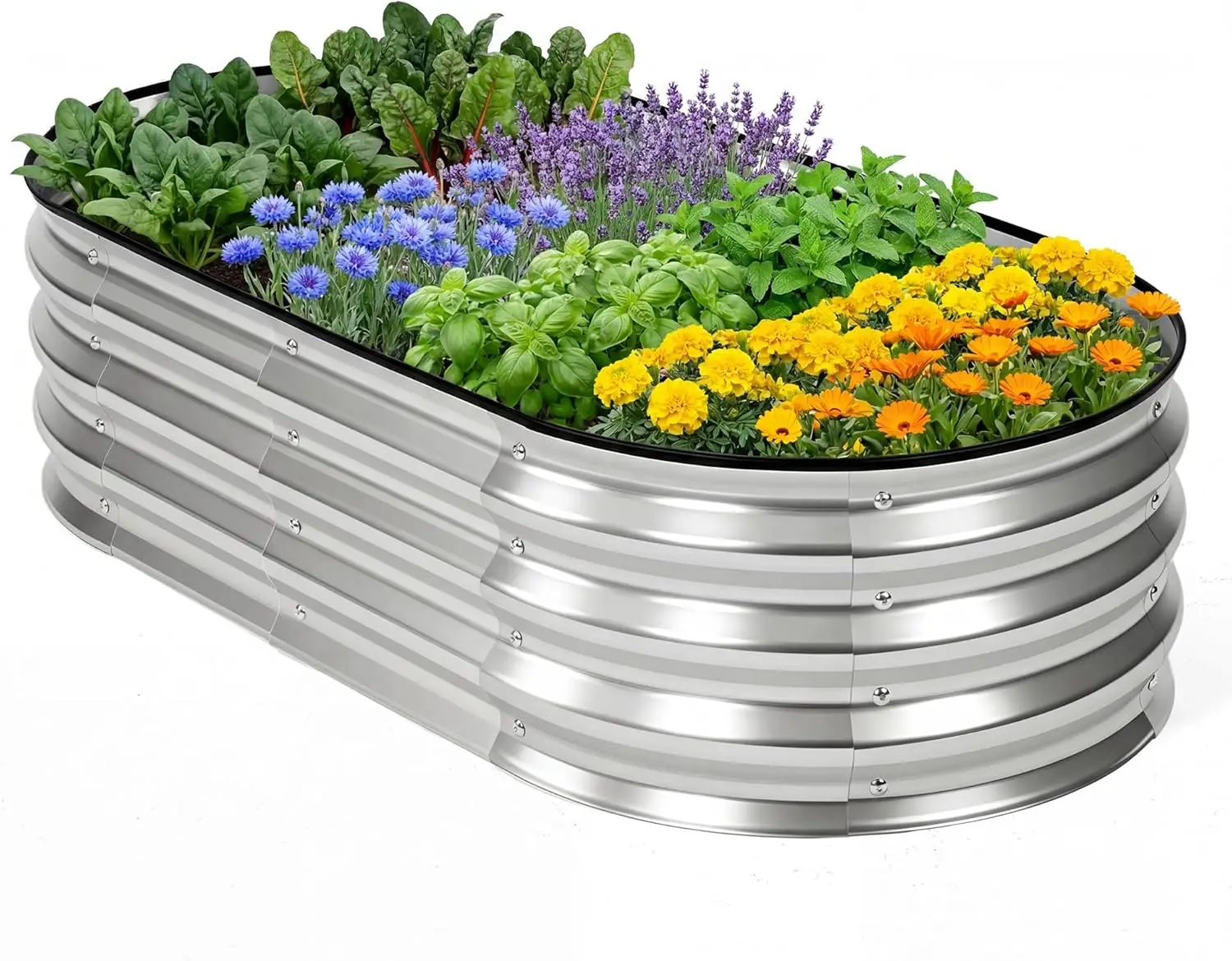

4x2x1ft Oval Galvanized Raised Garden Beds, Outdoor Planter Box with Open Bottom, Metal Garden Bed for Vegetables, Herbs