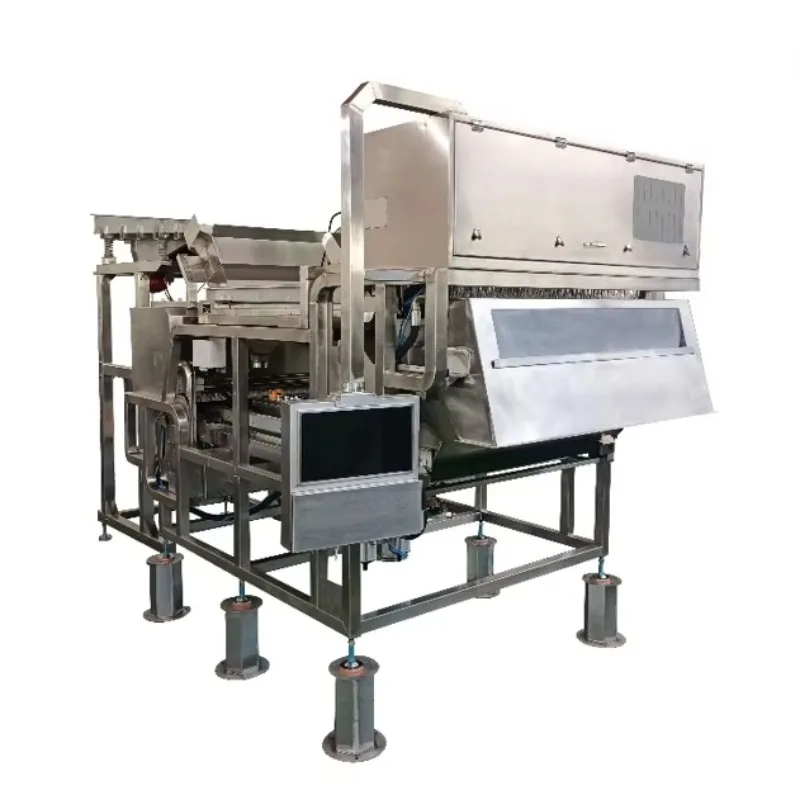 Stainless Steel Belt Optical Color Sorter Machine High Precision Visual Sorting Equipment for Food Raw Material Customized