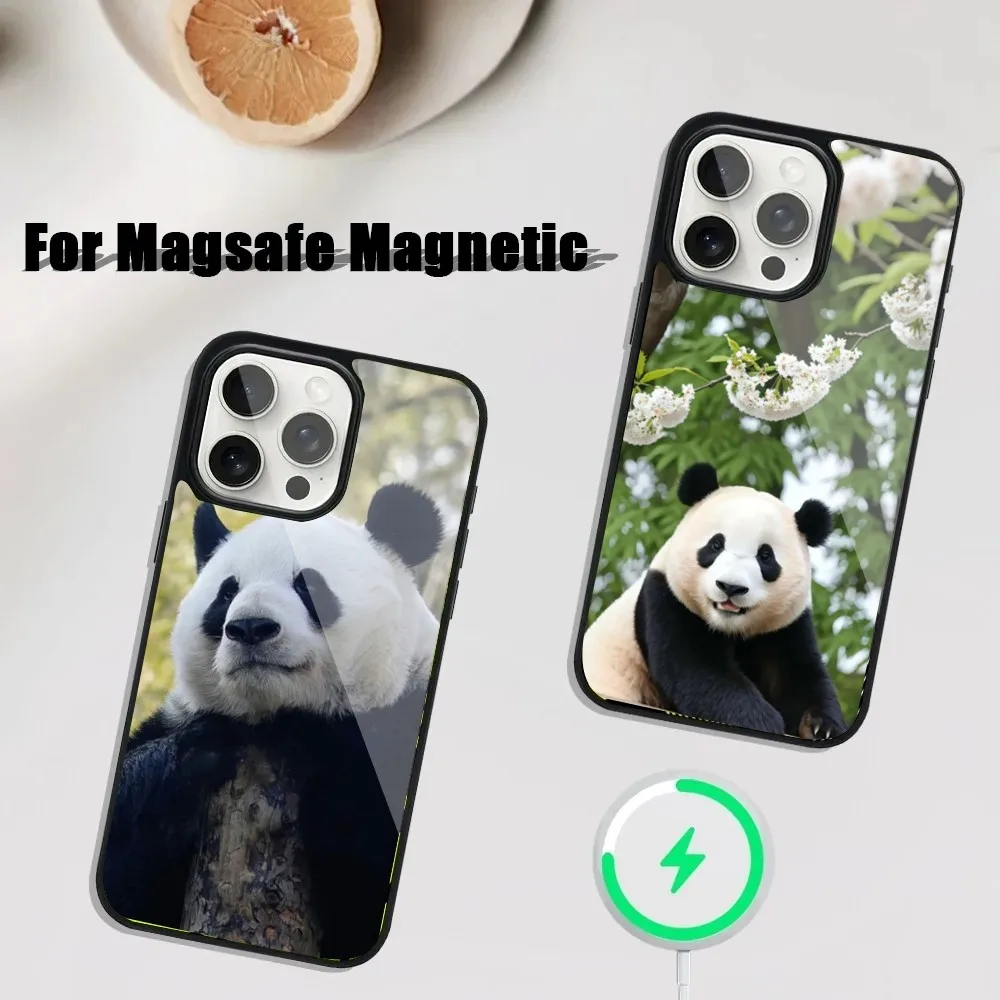 fubao panda   Phone Case For iPhone 16,15,14,13,12,11,Plus,Pro,Max Mini Magsafe Magnetic Wireless Charging