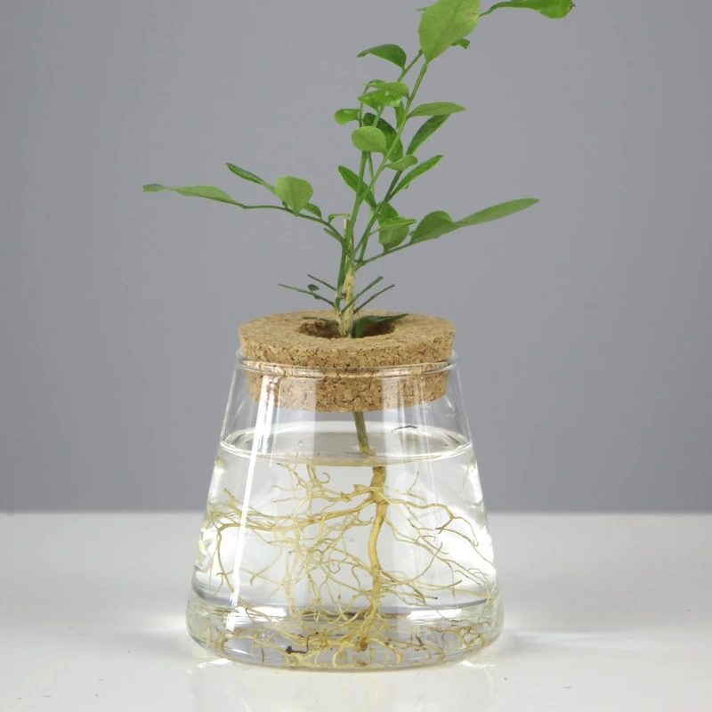 2pcs/pack Height=8.5cm Small Size Cork Lid Glass Terrarium Vase Micro Landscape Bottle Fishbowl Decoration Tea Storage Tank