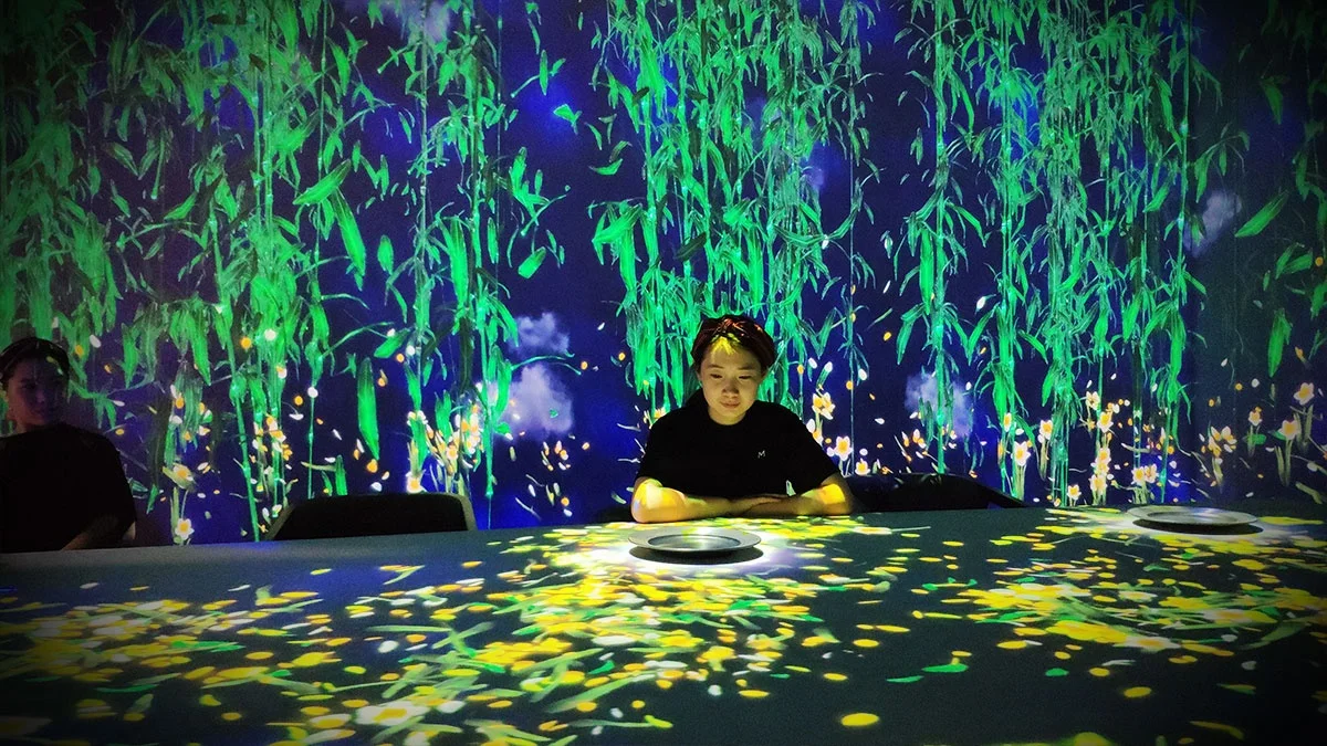 Schermo per proiettore a rete olografica 3D non tensionato, grandi schermi olografici 3D per esterni 10x30 metri