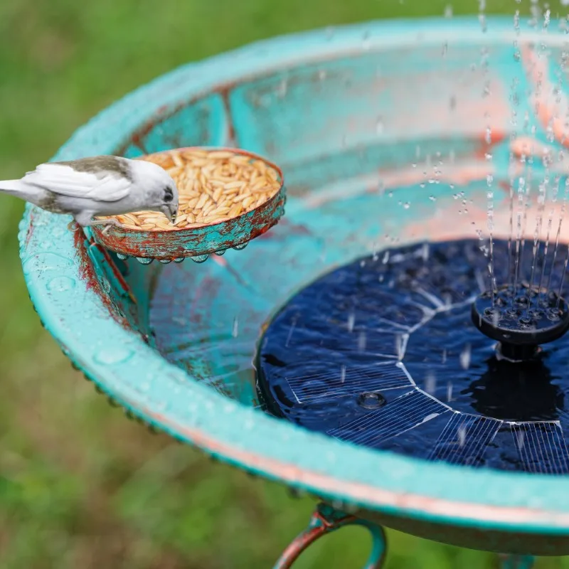 Vintage Metal Bird Bath Feeder Decorative Bird Water Bowl Garden Backyard Ornament with Tripod Stand