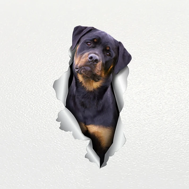 V1152# Car Sticker Rottweiler Pet Waterproof Vinyl Decal Car Accessories Decor Pegatinas Para Coche