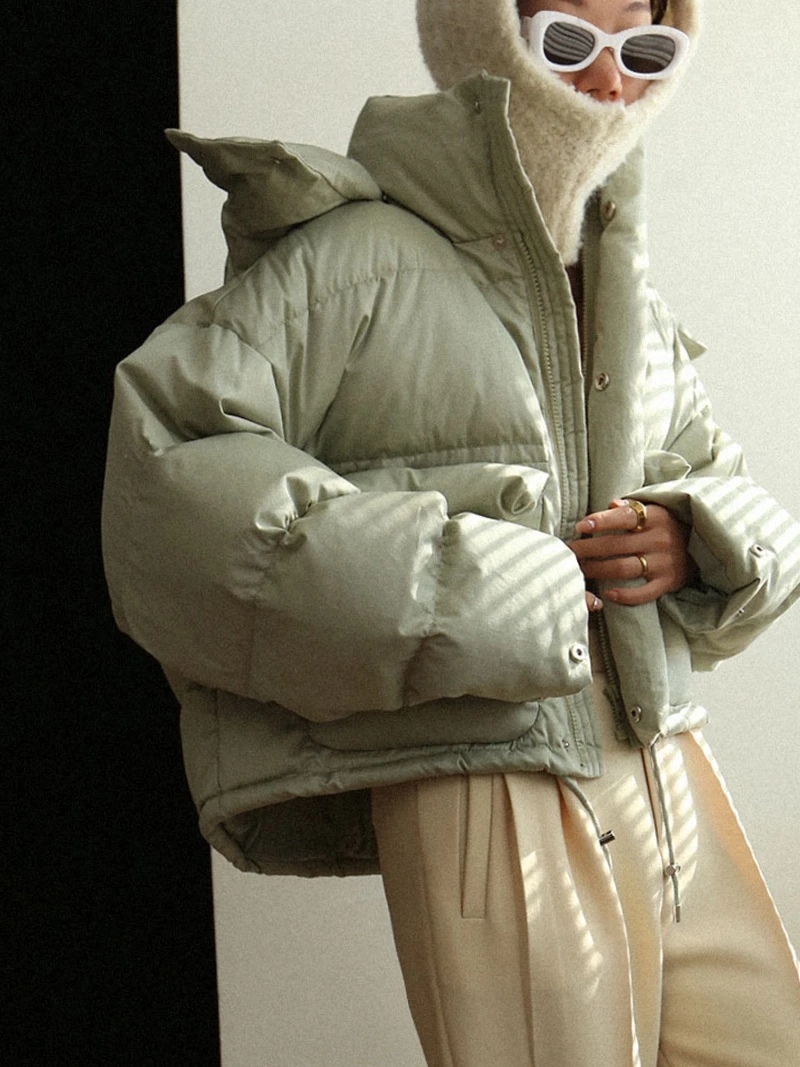 

Ast Editor's Store Sli ort Puffer Jaet with Hood Thi Winter Outerwear for Women Beautiful Design Commute Sle