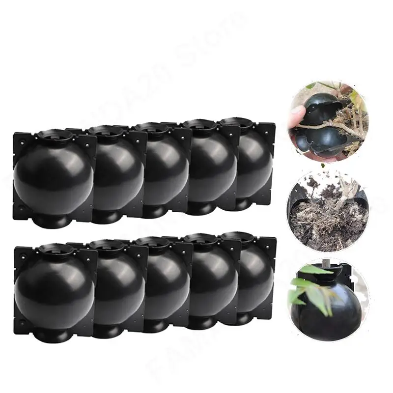 

Garden Tools 10pcs Plant Rooting Ball Grafting Growing Nursery Box Breeding Plant Root Container High Pressure Case M20