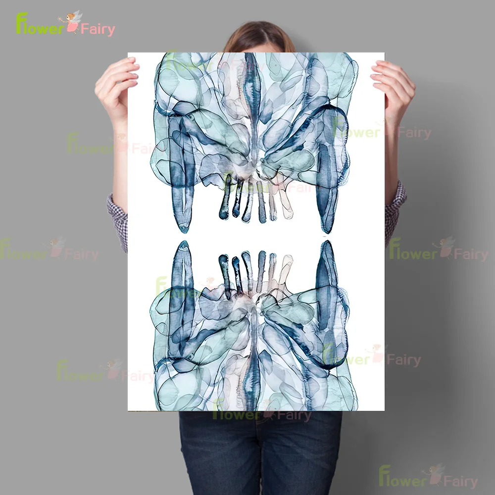 Maxillary Rostral Tarsal Bone Lateral Poster Wall Art Canvas Painting Home Decor Wall Pictures For Living Room Unframed