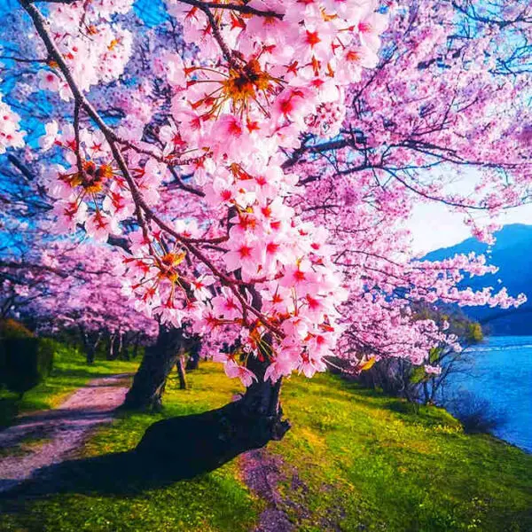 

Шины для радиоуправляемых машин 1:8, универсальные для внедорожников и краулеров, модифицированные колеса с удлиненными аксессуарами 150 мм