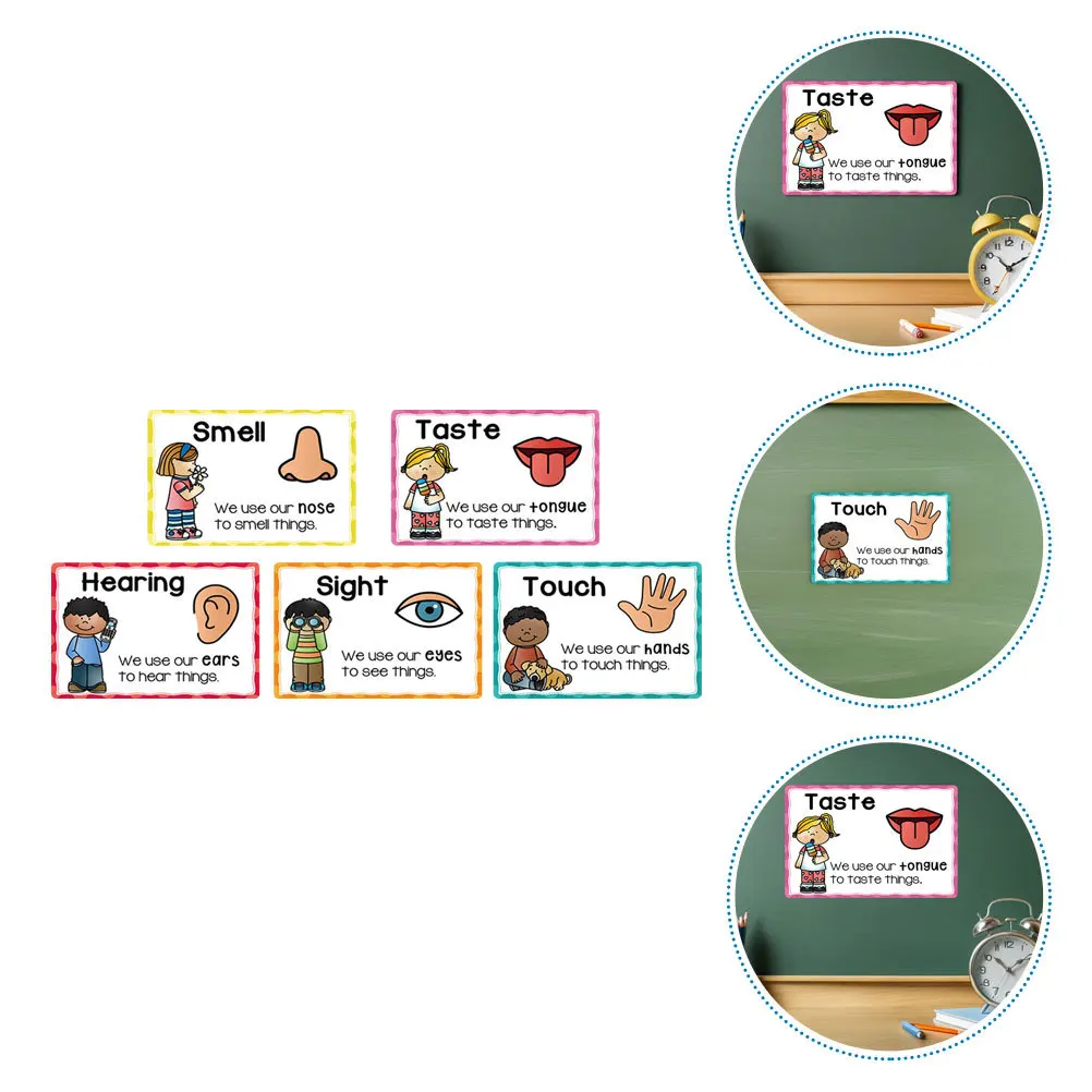 

2Sets Learning Flash Cards Early Childhood Education Posters Sensory Cognitive Development Preschool Classroom