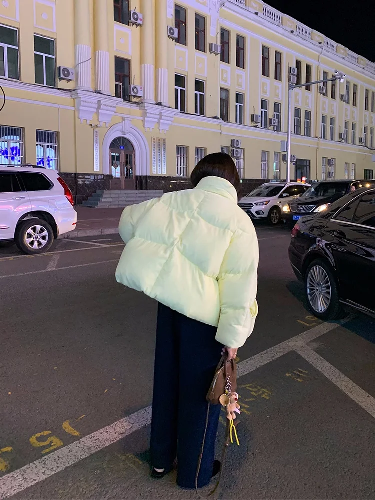 Women's Velvet down Jaet Winter New Sle Small Size Thi Warm Bread Sle Light Yellow Stand Collar Commuter Sle Straig...