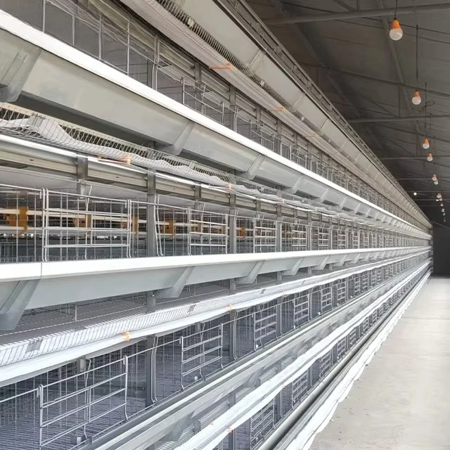 

Производство оборудования для разведения клеток H-типа и ферм птицы, клетка для разведения куриного слоя.