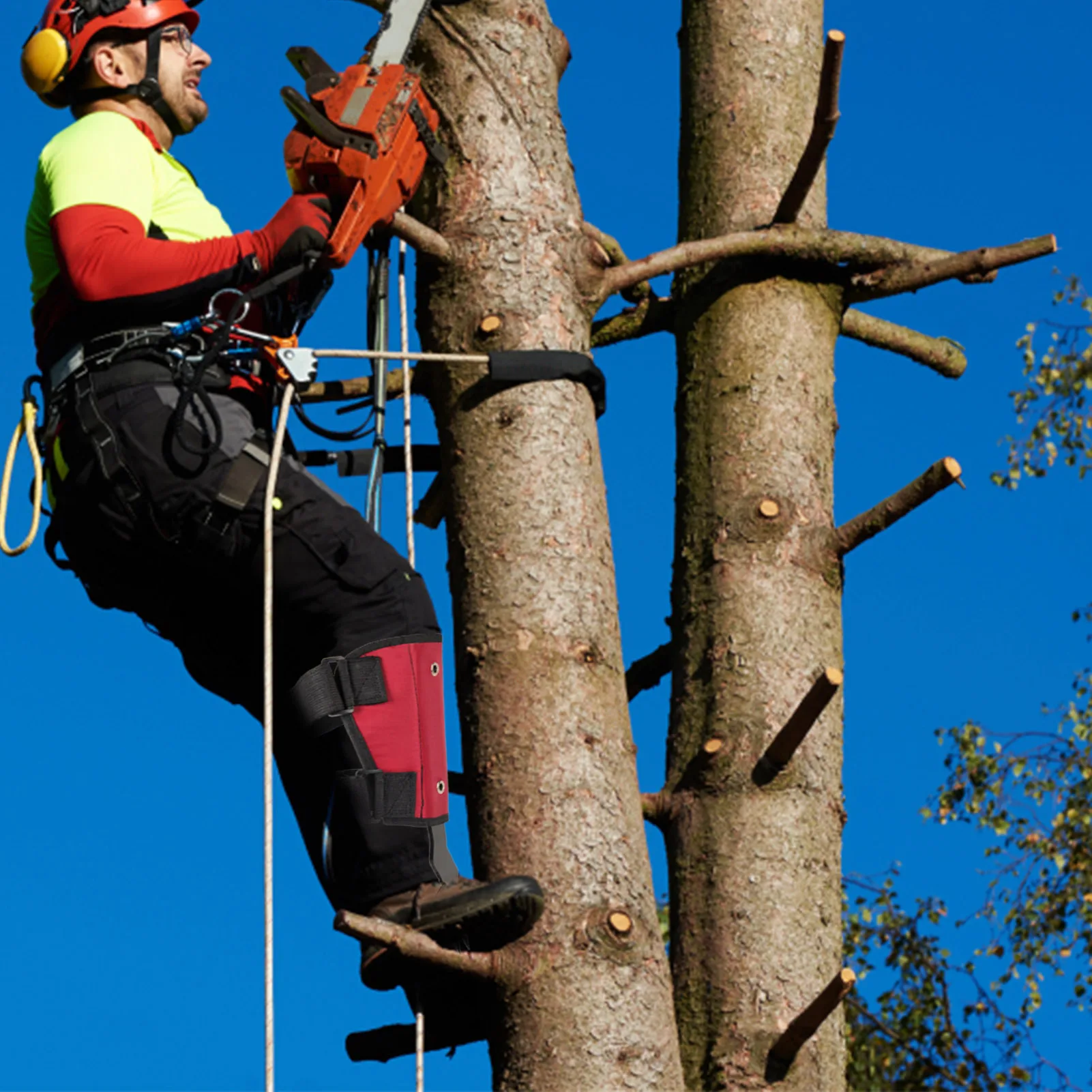 Set di attrezzi da arrampicata per alberi attrezzatura da arrampicata per alberi con cintura punte da arrampicata per alberi palo regolabile scarpe da arrampicata pedale antiscivolo per