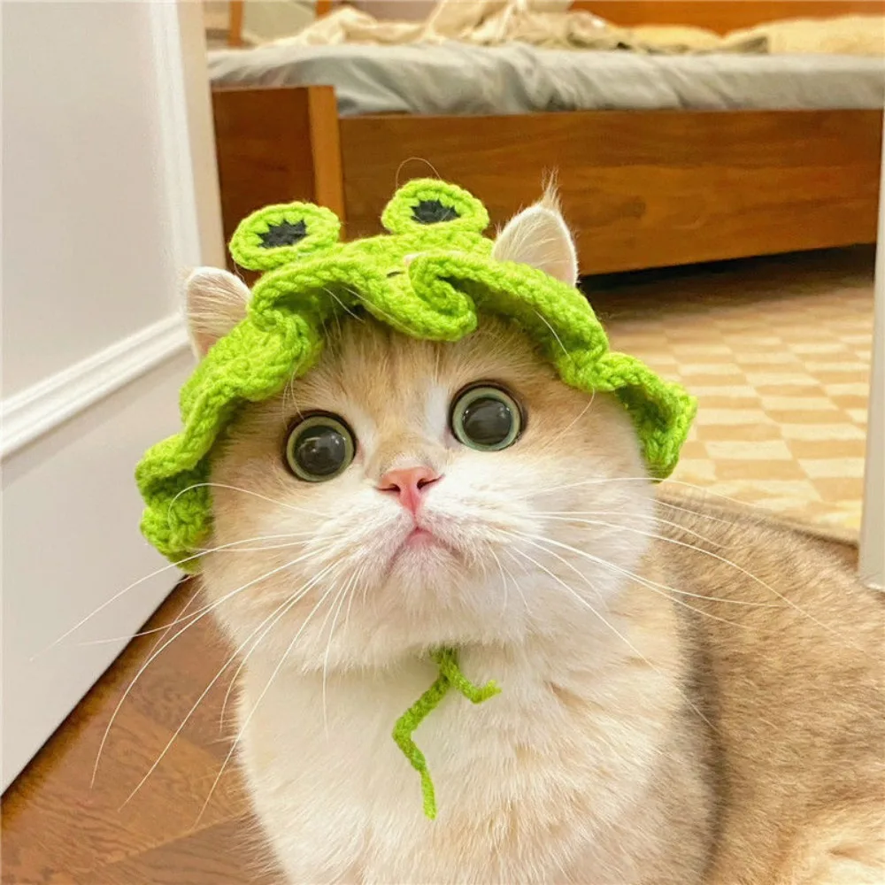 2023 Winter Elastic Crochet Handmade Pet Cap Frog Hat for Party Photo Props Cat Hat