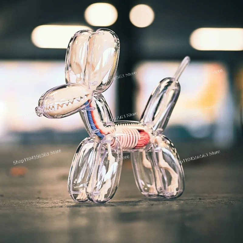 Big Balloon Dog 4d Assembling Toy Perspective Bone Anatomy Model Transparent Skeleton Model