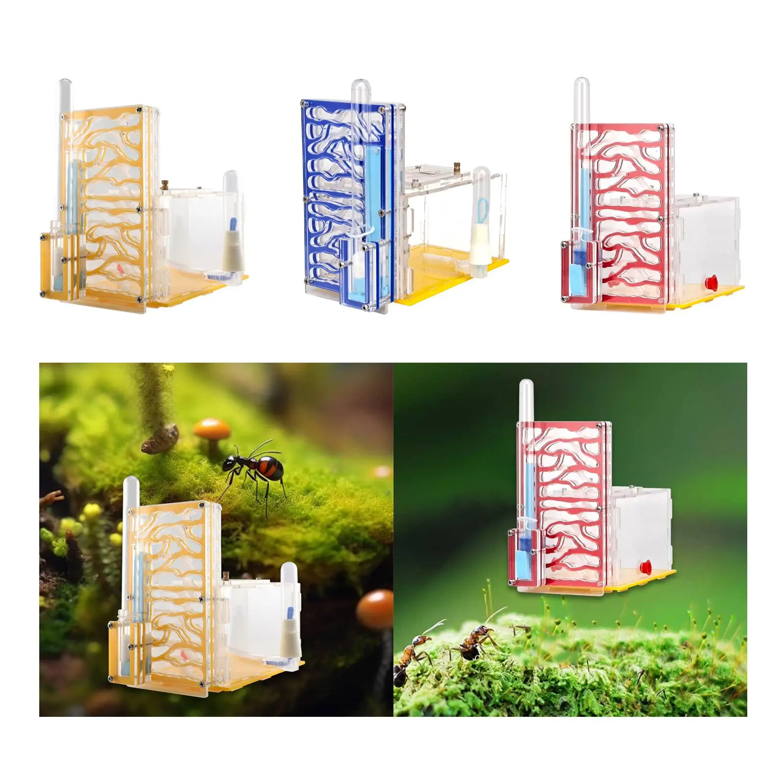 

ANT Корпусное гнездо, среда обитания, легко собрать, мастерская, игрушки «сделай сам», образовательный прозрачный чехол для разведения на День защиты детей, день рождения