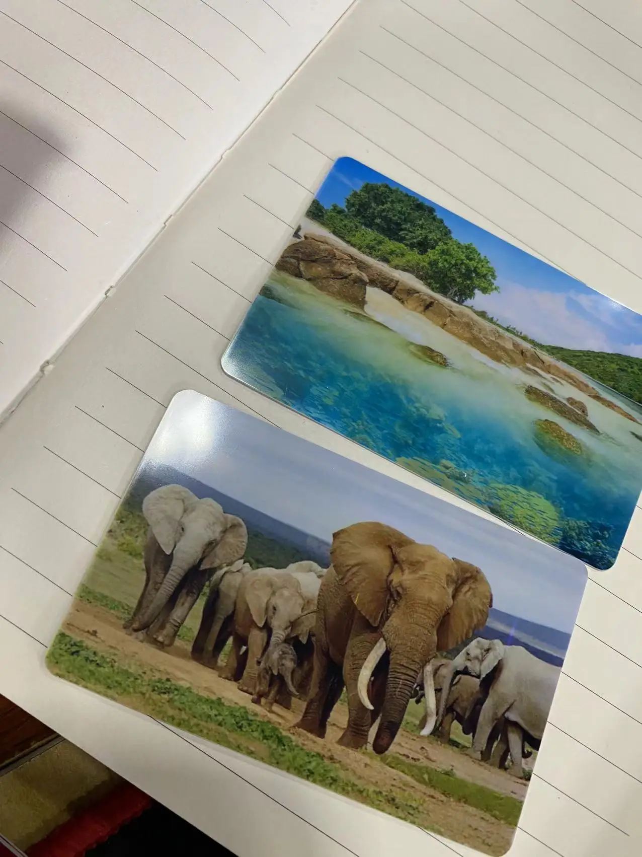 Evolis High performance SEAORY S22 300DPI Desktop Double-sided  ID card PVC/plastic Card Printer automatically