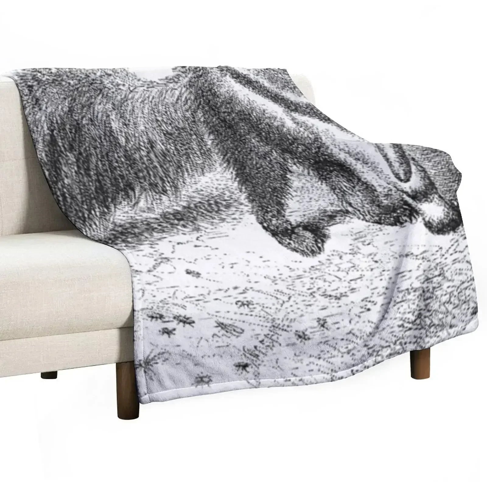 

New Giant anteater from Eccentricities of Animal Creation Throw Blanket Hairys Furrys Decorative Sofas Blankets